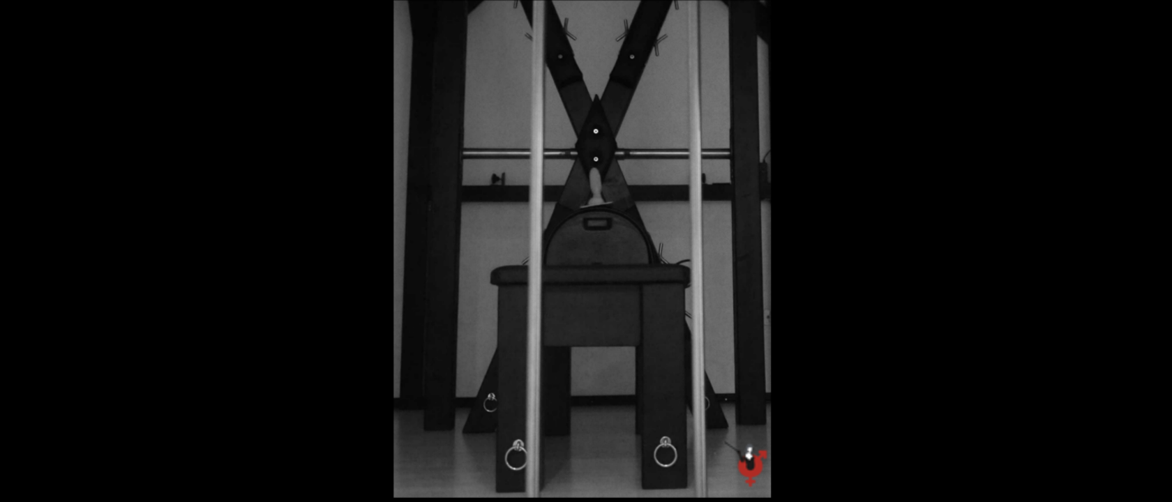 Sybian erfahrungen Sybian erfahrungen